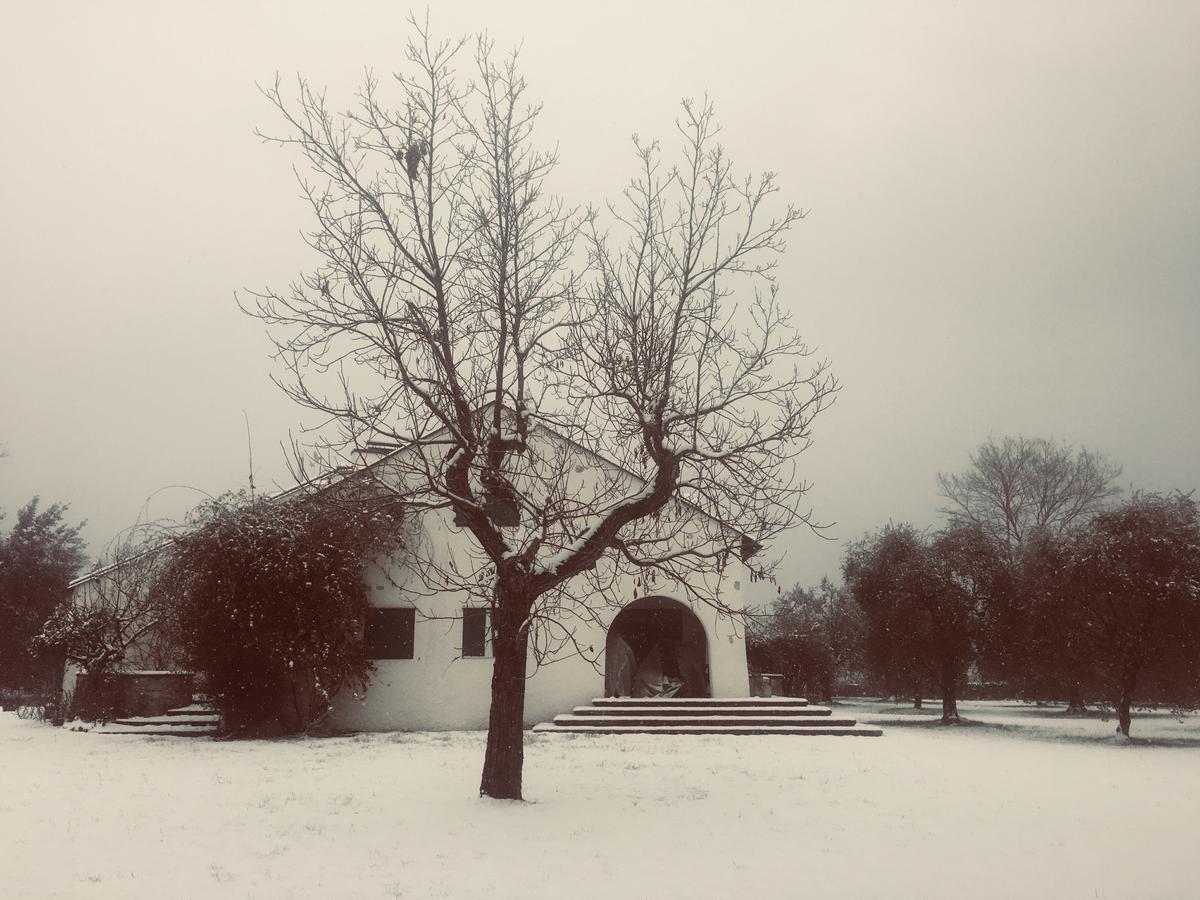 Punta Del Corno Country house